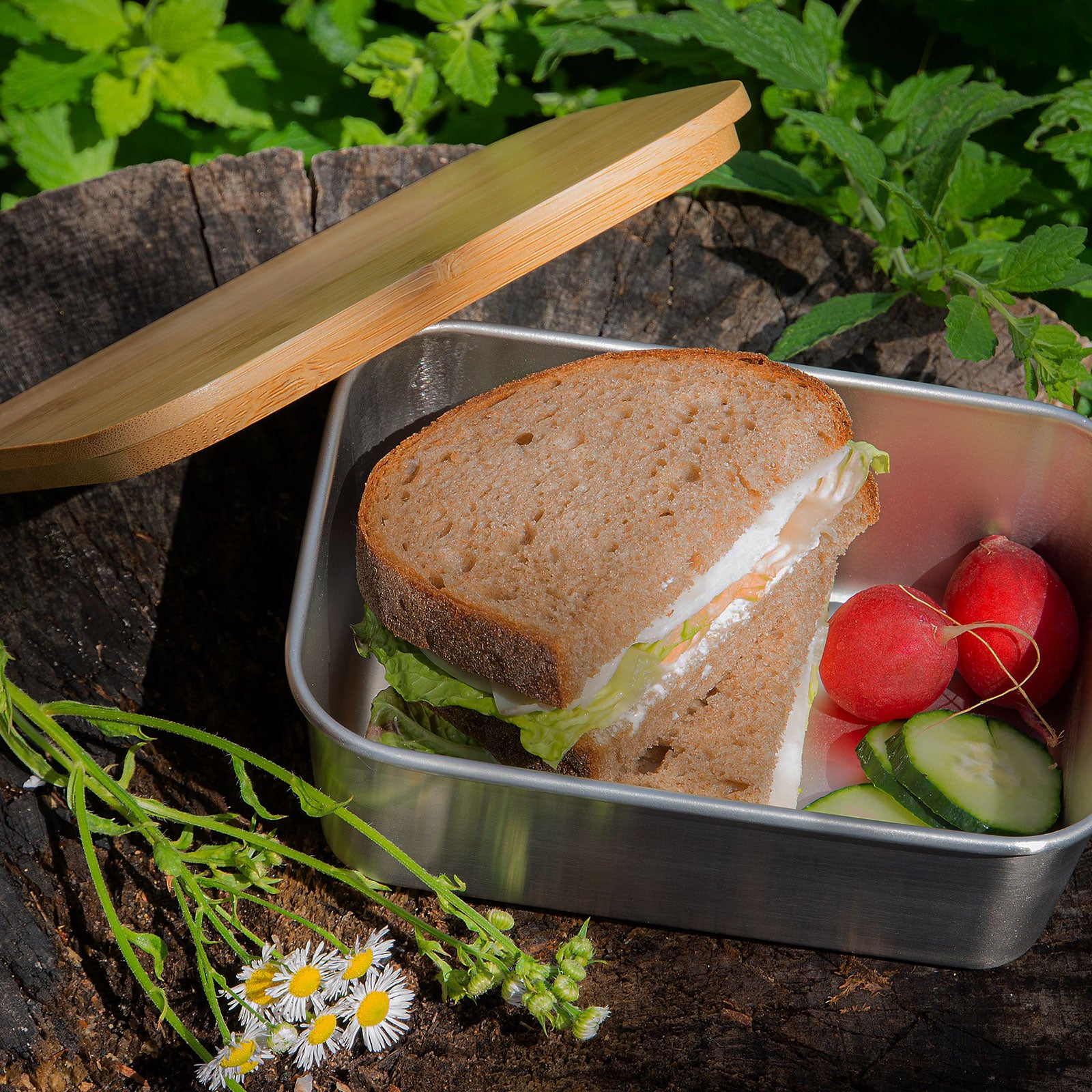 ECHTWERK Praktische Lunchbox aus Edelstahl 800 ml