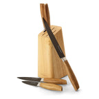 ECHTWERK Küchenmesser Set aus hochwertigem Stahl Schwarz