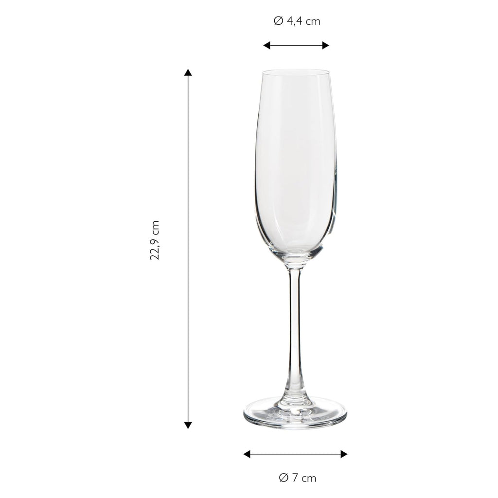 ECHTWERK Sekt-/Champagnergläser 6er Set 210 ml aus Glas