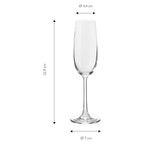 ECHTWERK Sekt-/Champagnergläser 6er Set 210 ml aus Glas