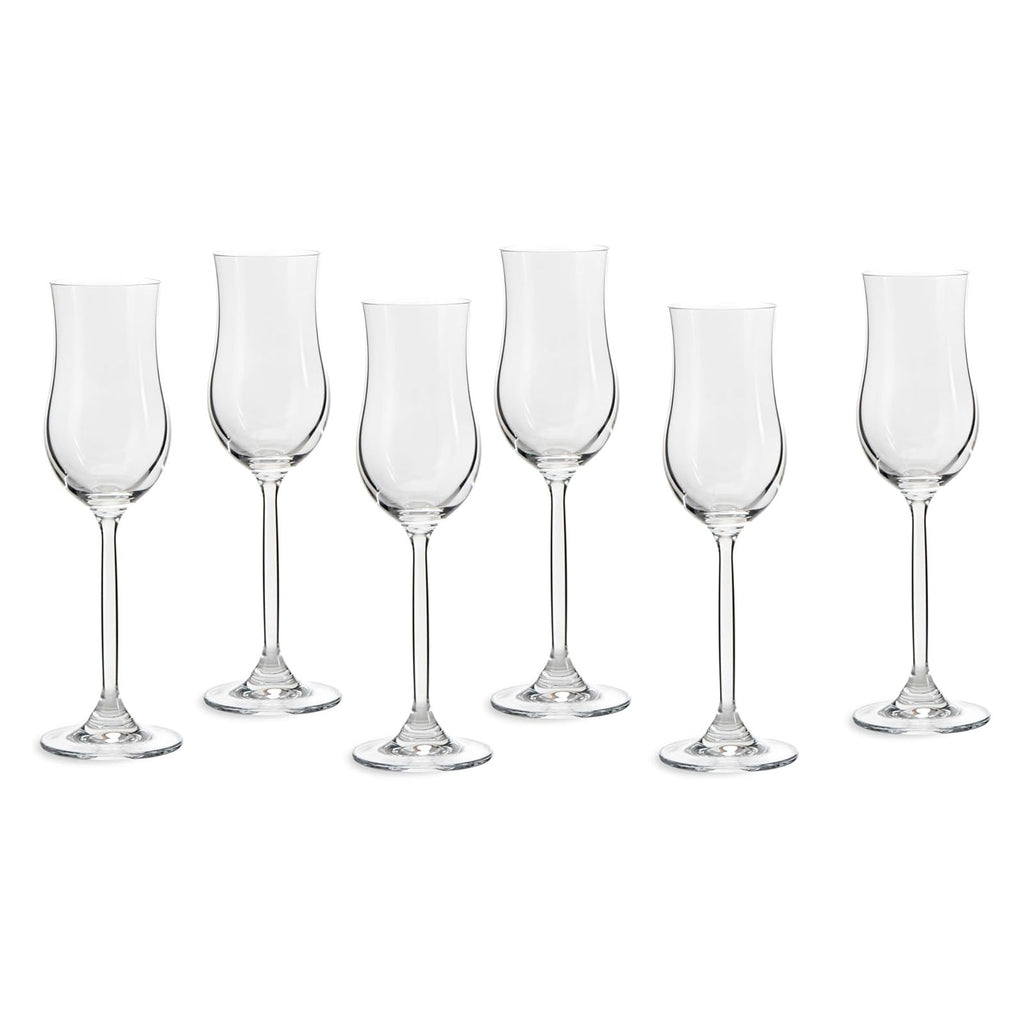 ECHTWERK Grappa-Gläser 6er Set 120 ml aus Glas