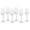 ECHTWERK Grappa-Gläser 6er Set 120 ml aus Glas