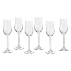 ECHTWERK Grappa-Gläser 6er Set 120 ml aus Glas