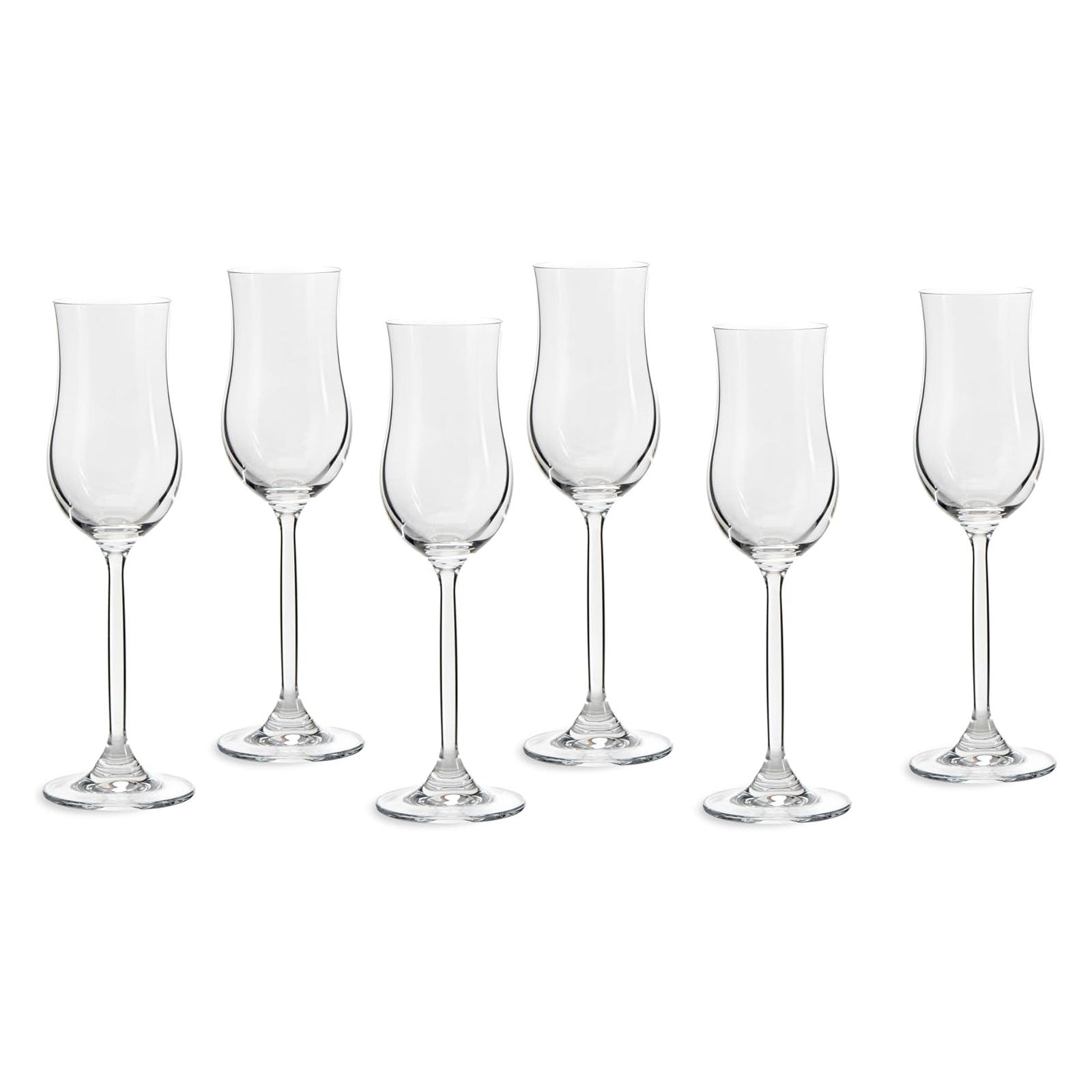 ECHTWERK Grappa-Gläser 6er Set 120 ml aus Glas
