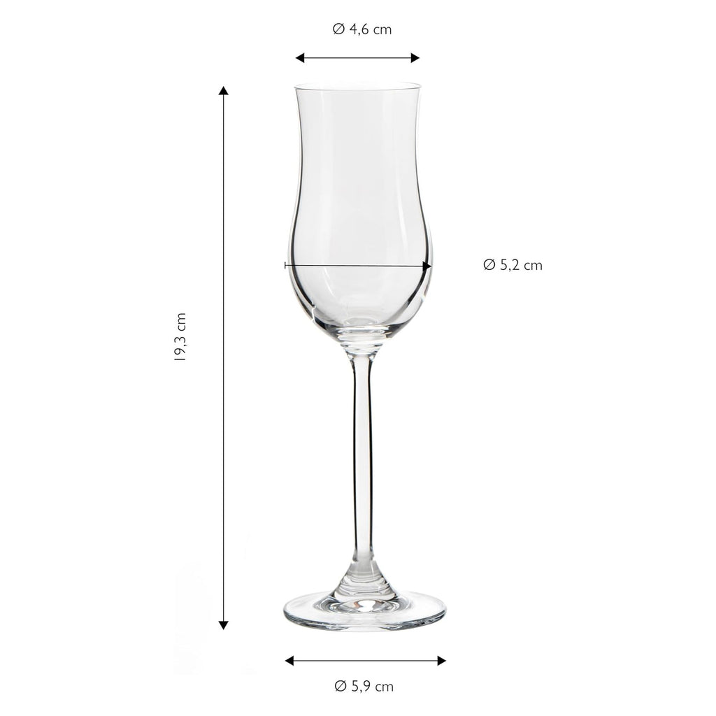 ECHTWERK Grappa-Gläser 6er Set 120 ml aus Glas