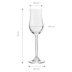ECHTWERK Grappa-Gläser 6er Set 120 ml aus Glas
