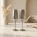 ECHTWERK Sektglas Champagnerglas Silber aus Edelstahl 250 ml