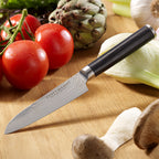 ECHTWERK Damastmesser kleines Santokumesser