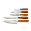 ECHTWERK Damastmesser Set 5-tlg aus Stahl