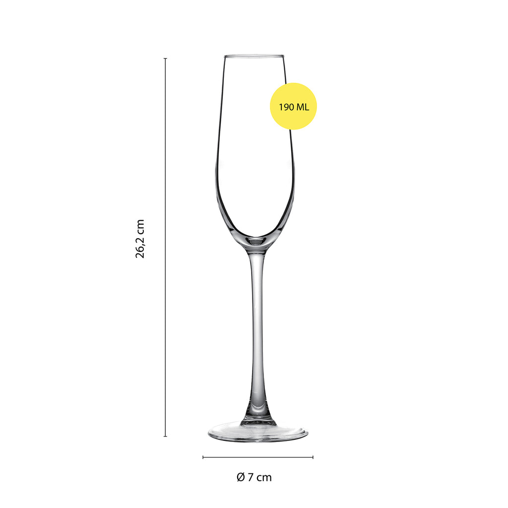 Sekt-/Champagnerkelche 6er Set, spülmaschinenfest, für Champagner, Schaumwein und Aperitifs