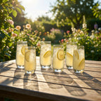 Wasser-Gläser 6er Set, Robuste Trinkgläser, spülmaschinenfest